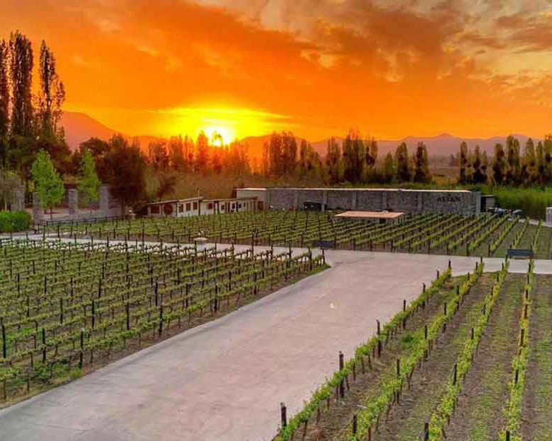 Tour exclusivo a Viña Alyan - Foto 3