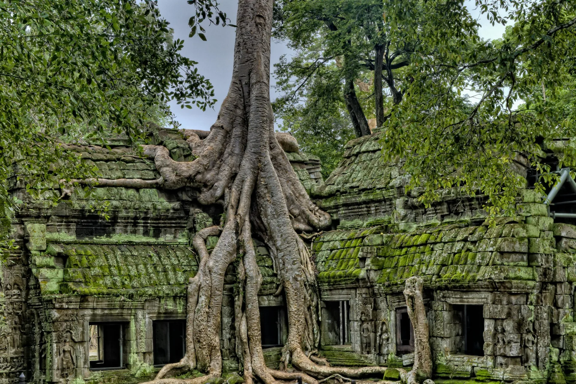 Vietnam & Camboya: 12 de Febrero al 03 de Marzo 2027 - Foto 5