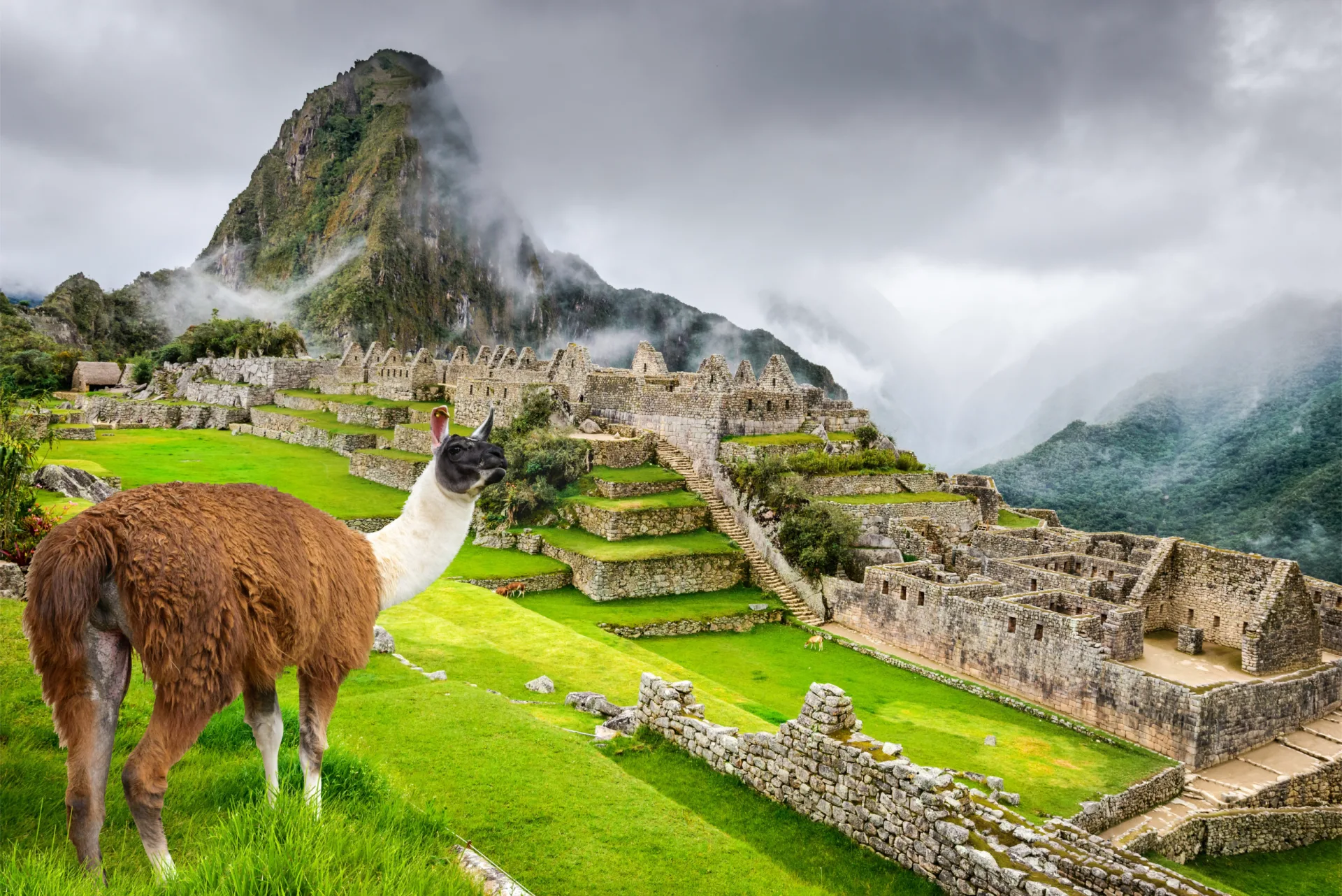 Gira de Estudio Perú Mágico  2026 - Foto 3