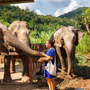 Gira de Estudio Tailandia & Vietnam  2026