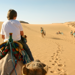 Gira de Estudio Turquía & Egipto  2026