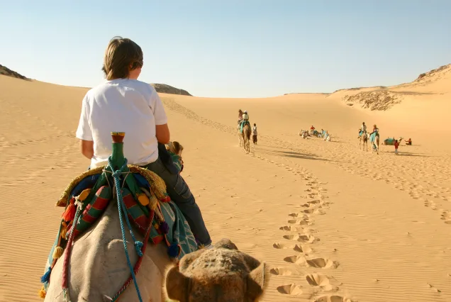 Gira de Estudio Turquía & Egipto  2026