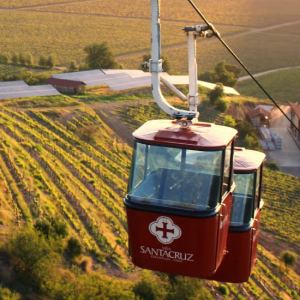 Tour Full Day: Experiencia Viña Santa Cruz