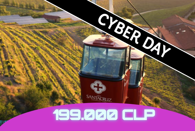 CyberDay : Tour Full Day - Experiencia Viña Santa Cruz