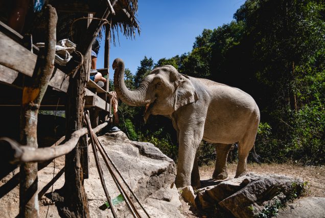 Tailandia-Vietnam-Indonesia  (10 de Febrero al 07 de Marzo)