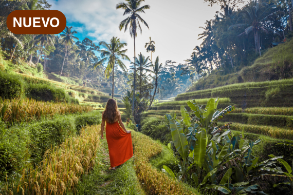 Tailandia, Vietnam & Indonesia: 10 de Febrero al 07 de Marzo