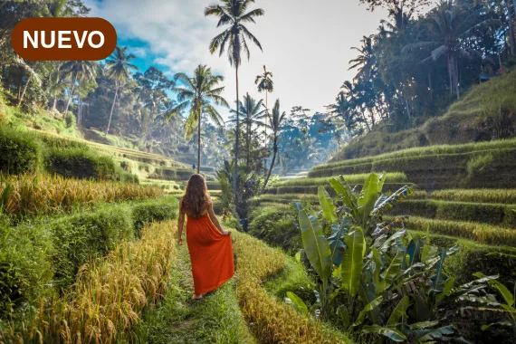 Tailandia, Vietnam & Indonesia: 10 de Febrero al 07 de Marzo