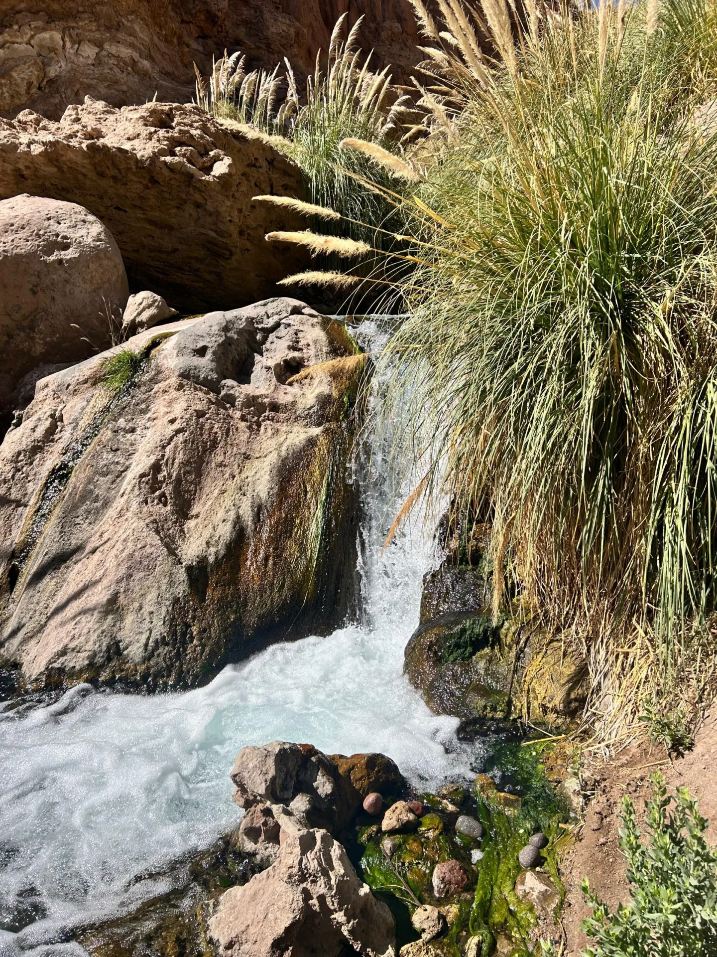 Senderismo Quebrada Río Puritama - Foto 5